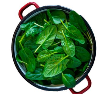Espinaca troceada