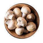 Selección de champiñon listo para usar limpio y fresco sarriá frutas Dylan