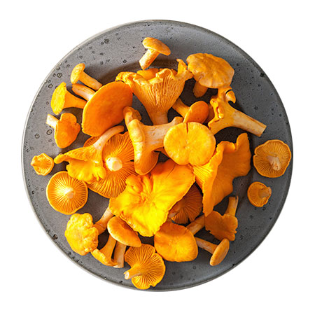 Camagroc equilibra by frutas dylan