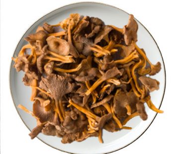 Trompeta de la muerte