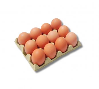 HUEVO 12UD – 12Und